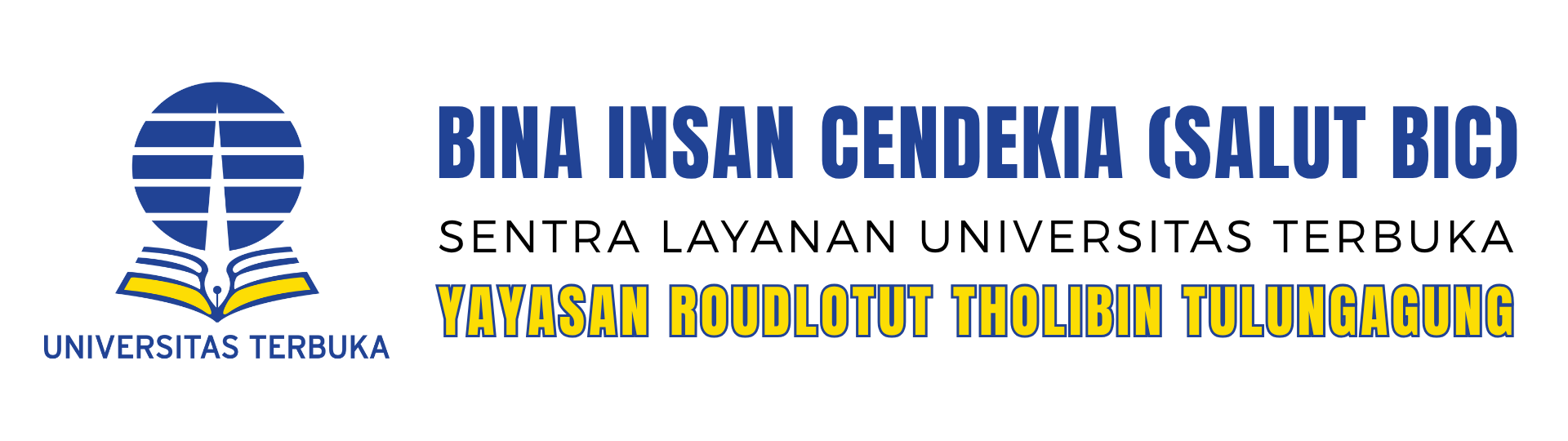 logo salut